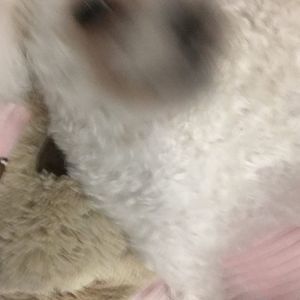 Meet your Posher, Betty